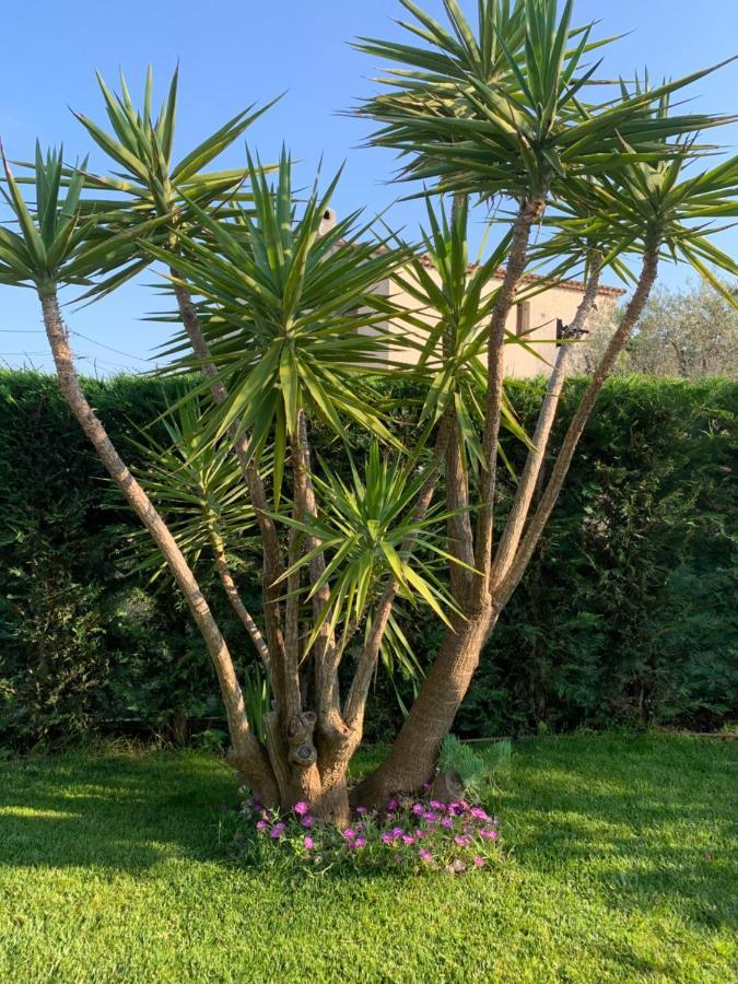 Villa Elimia Piscine Privee & Chauffee Antibes Luaran gambar